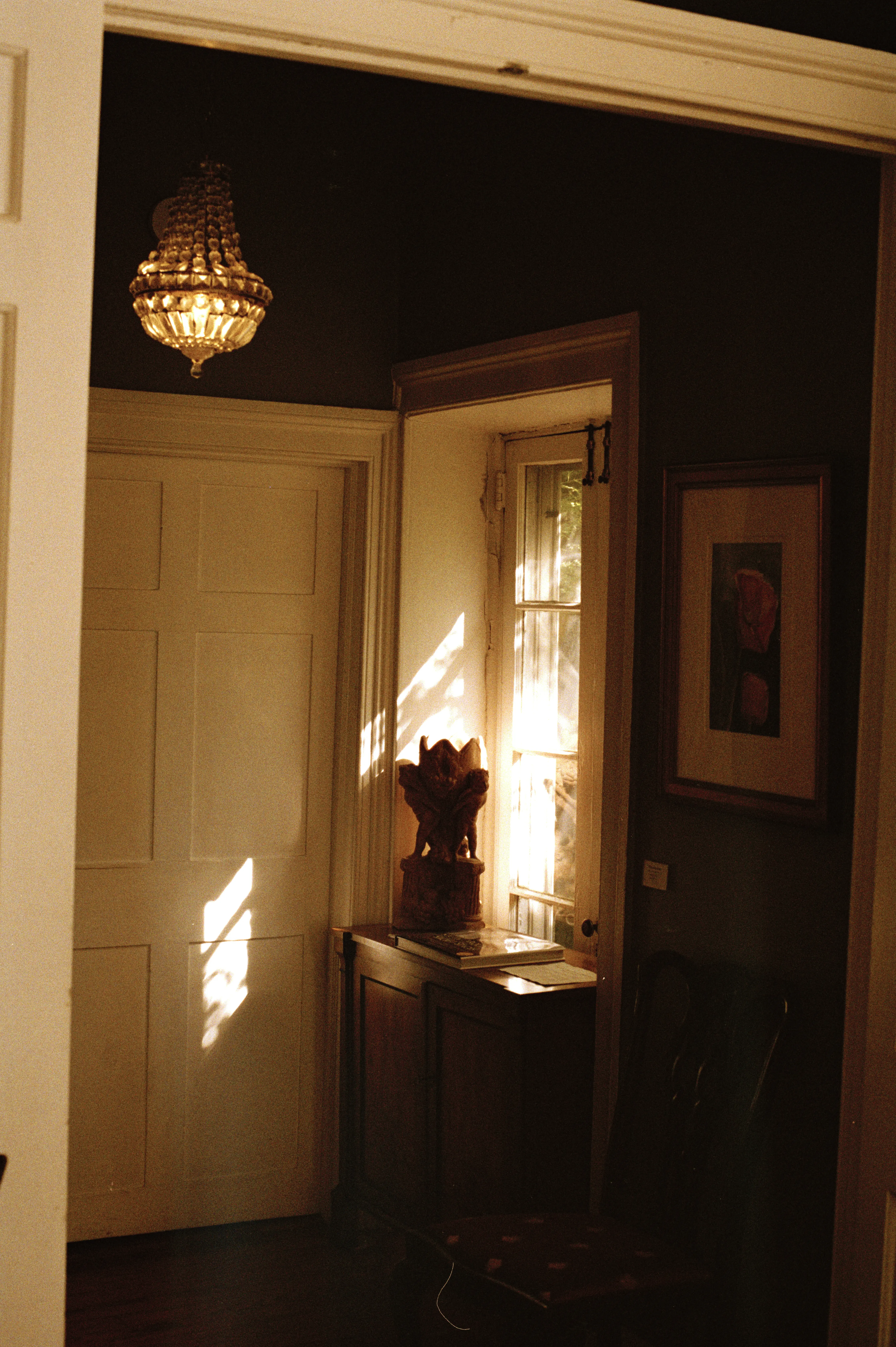 Photography image 2