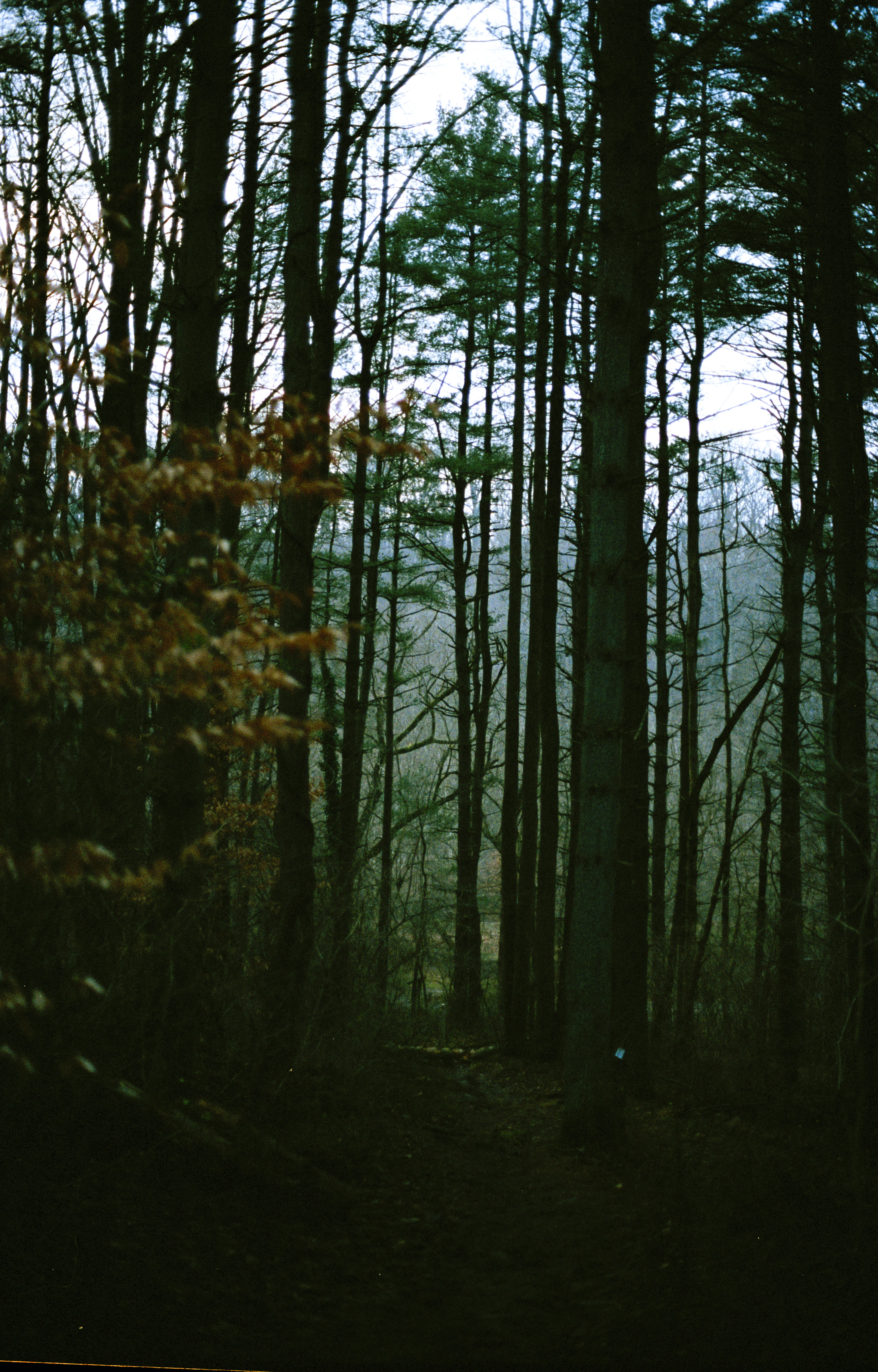 Photography image 6